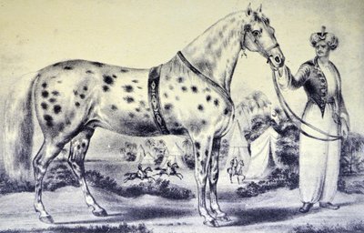 Un ritratto corretto del cavallo di Mr H Rockwell, Alexander, Bowery Amphitheatre, New York 17 marzo 1840 da N. and Ives, J.M. Currier